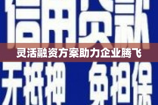 新埤灵活融资方案助力企业腾飞