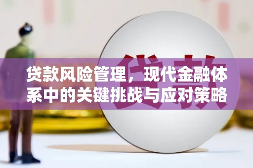 新埤贷款风险管理，现代金融体系中的关键挑战与应对策略