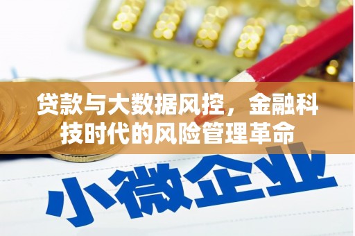 新埤贷款与大数据风控，金融科技时代的风险管理革命
