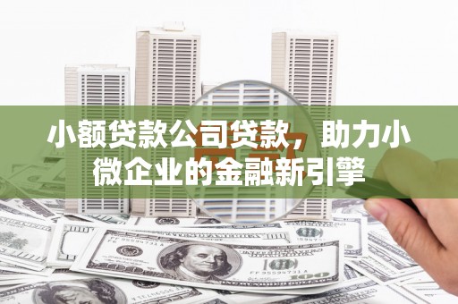 新埤小额贷款公司贷款，助力小微企业的金融新引擎