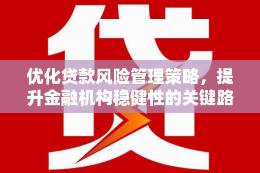 新埤优化贷款风险管理策略，提升金融机构稳健性的关键路径