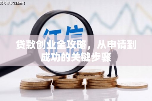 新埤贷款创业全攻略，从申请到成功的关键步骤