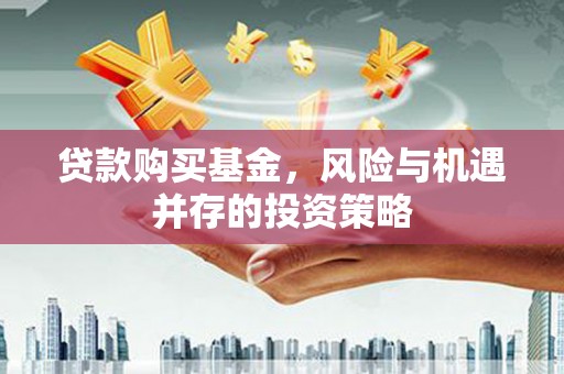 新埤贷款购买基金，风险与机遇并存的投资策略