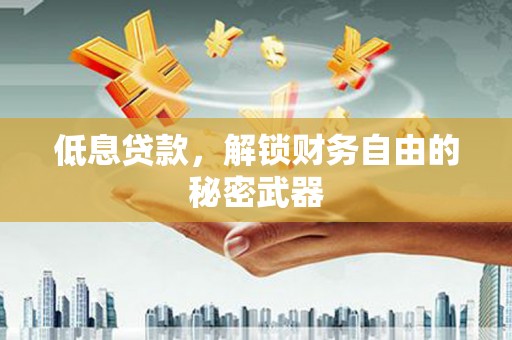 新埤低息贷款，解锁财务自由的秘密武器