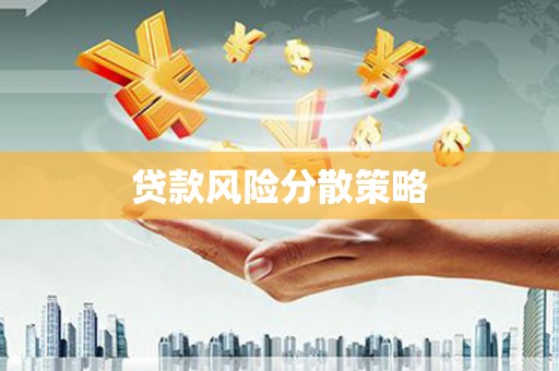 新埤贷款风险分散策略