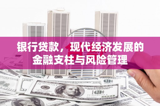 新埤银行贷款，现代经济发展的金融支柱与风险管理