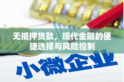 新埤无抵押贷款，现代金融的便捷选择与风险控制