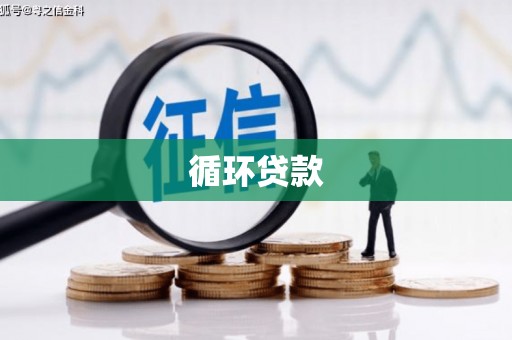 新埤循环贷款