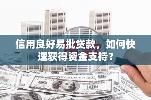 新埤信用良好易批贷款，如何快速获得资金支持？