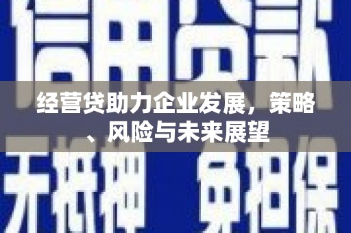 新埤经营贷助力企业发展，策略、风险与未来展望