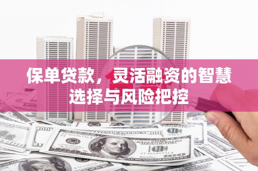 新埤保单贷款，灵活融资的智慧选择与风险把控