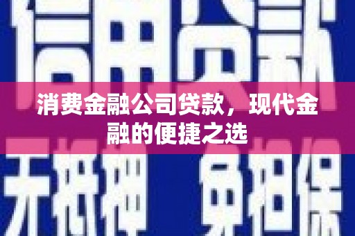 新埤消费金融公司贷款，现代金融的便捷之选