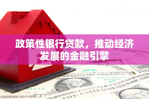 新埤政策性银行贷款，推动经济发展的金融引擎