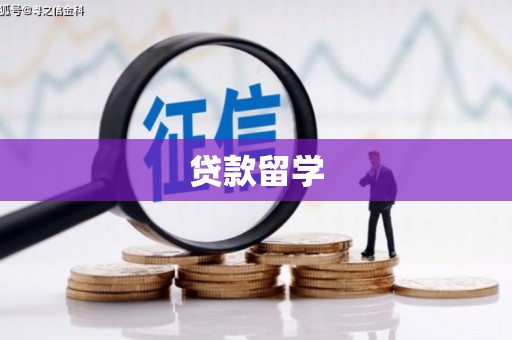 新埤贷款留学