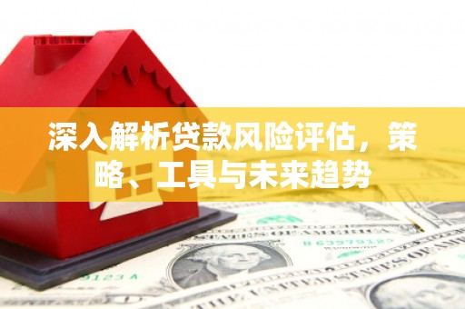 新埤深入解析贷款风险评估，策略、工具与未来趋势