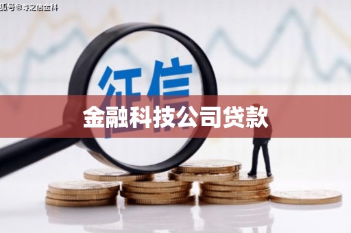 新埤金融科技公司贷款