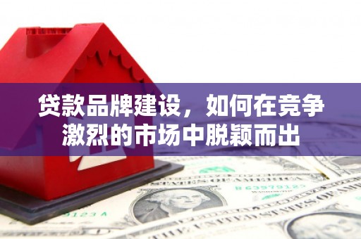新埤贷款品牌建设，如何在竞争激烈的市场中脱颖而出