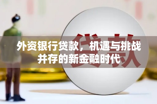 新埤外资银行贷款，机遇与挑战并存的新金融时代
