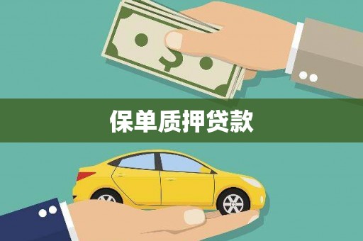 新埤保单质押贷款