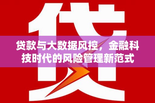 新埤贷款与大数据风控，金融科技时代的风险管理新范式