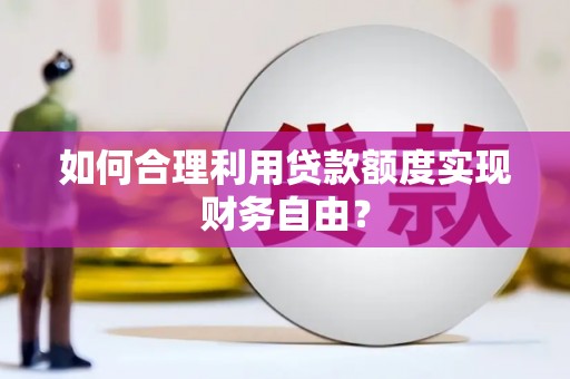 新埤如何合理利用贷款额度实现财务自由？
