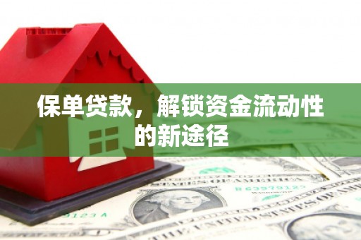 新埤保单贷款，解锁资金流动性的新途径