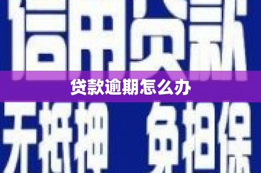 新埤贷款逾期怎么办