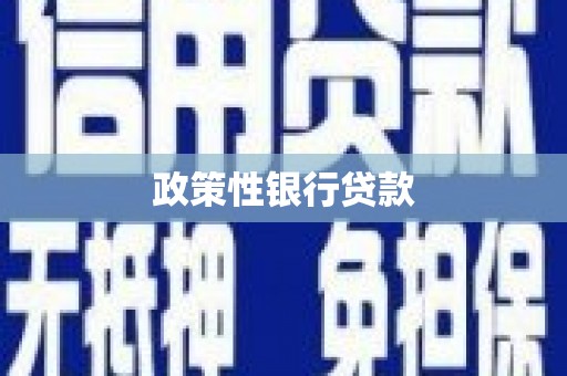 新埤政策性银行贷款