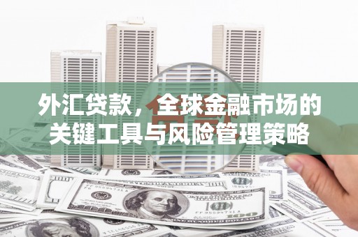 新埤外汇贷款，全球金融市场的关键工具与风险管理策略