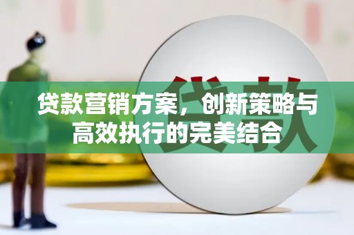 新埤贷款营销方案，创新策略与高效执行的完美结合