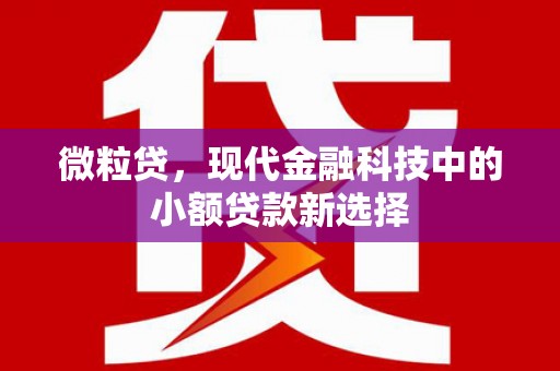 新埤微粒贷，现代金融科技中的小额贷款新选择