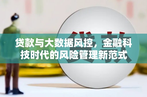 新埤贷款与大数据风控，金融科技时代的风险管理新范式