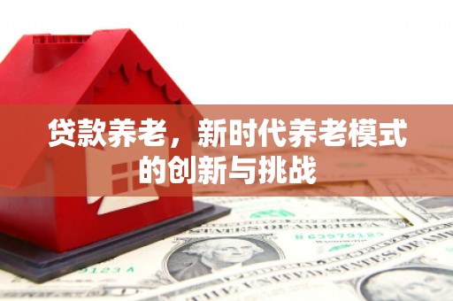 新埤贷款养老，新时代养老模式的创新与挑战