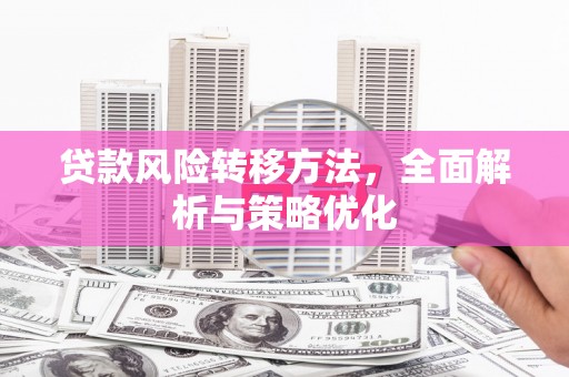 新埤贷款风险转移方法，全面解析与策略优化