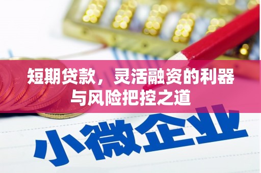 新埤短期贷款，灵活融资的利器与风险把控之道