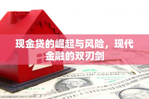 新埤现金贷的崛起与风险，现代金融的双刃剑