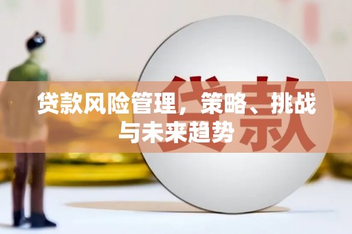 新埤贷款风险管理，策略、挑战与未来趋势