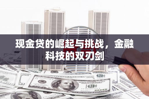 新埤现金贷的崛起与挑战，金融科技的双刃剑