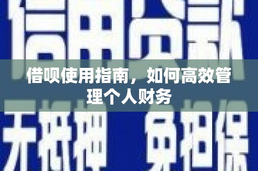 新埤借呗使用指南，如何高效管理个人财务