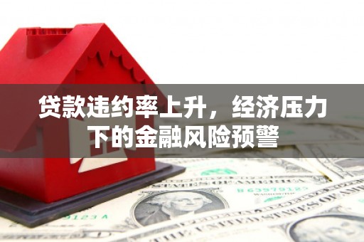 新埤贷款违约率上升，经济压力下的金融风险预警