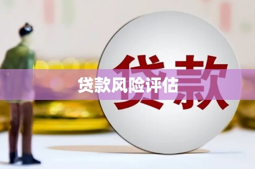 新埤贷款风险评估