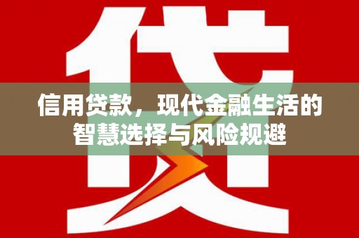 新埤信用贷款，现代金融生活的智慧选择与风险规避