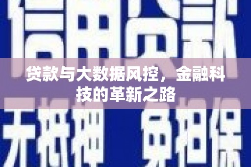 新埤贷款与大数据风控，金融科技的革新之路
