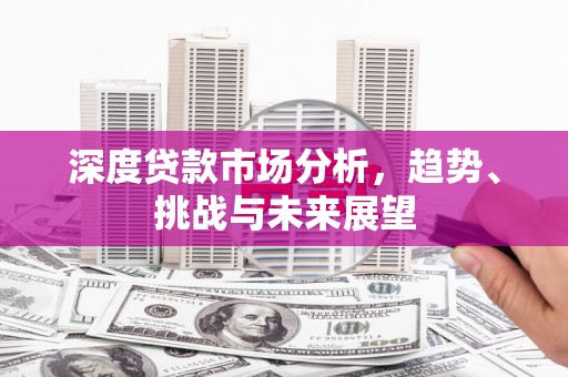 新埤深度贷款市场分析，趋势、挑战与未来展望