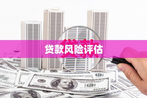 新埤贷款风险评估