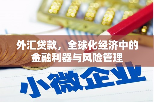 新埤外汇贷款，全球化经济中的金融利器与风险管理