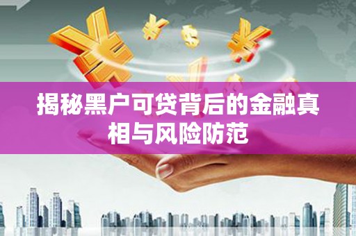 新埤揭秘黑户可贷背后的金融真相与风险防范