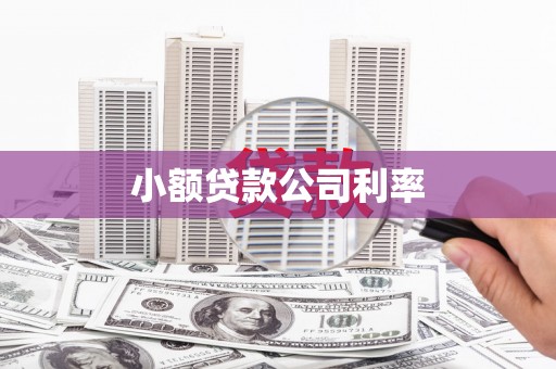新埤小额贷款公司利率