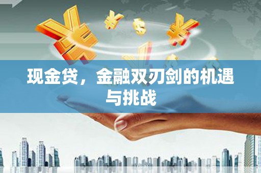新埤现金贷，金融双刃剑的机遇与挑战