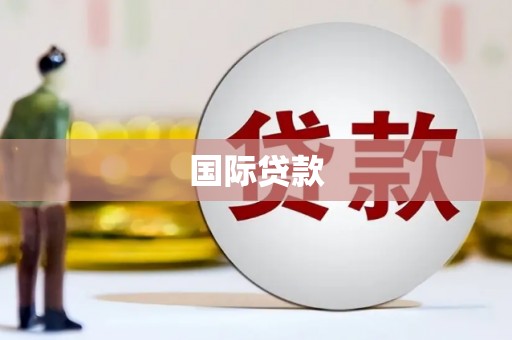 新埤国际贷款